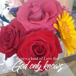 Meet your Posher, Floridalma